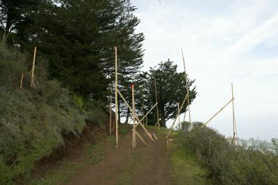 Story Poles Looking North