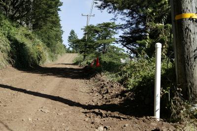 Graded Driveway