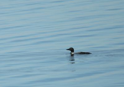 IMG_4679.jpg