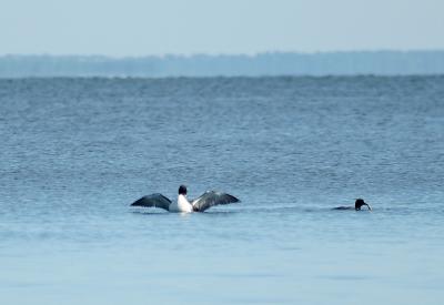 IMG_4685.jpg
