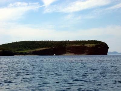 Conception Bay scenery