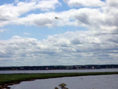 Go fly a kite!!!
