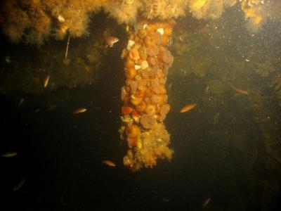 Grand Narrows Oct 8 022.jpg