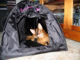 Clancy in his tent