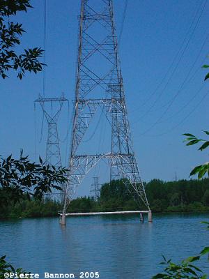 Cormorandière sur pylone électrique, canal de Beauharnois, Saint-Timothée, 6 août 2005