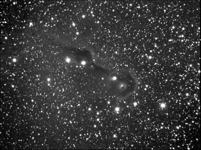 Part of IC1396,  The Elephant's Trunk Nebula