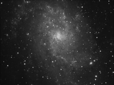 M33