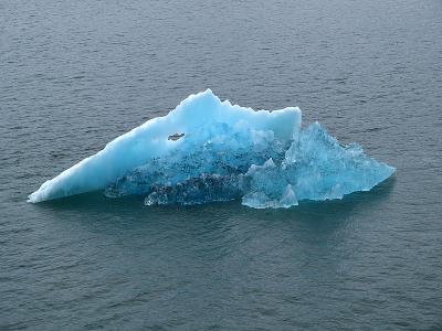 Iceberg, Tracy Arm