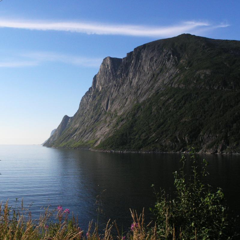 Northwestern Senja.jpg
