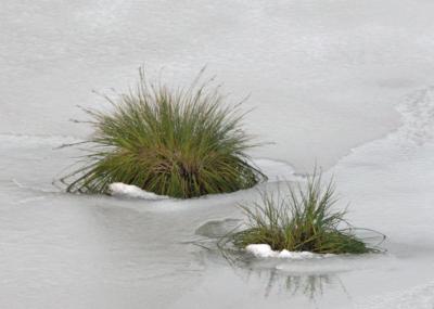 Snart dekker is og snø alt.jpg