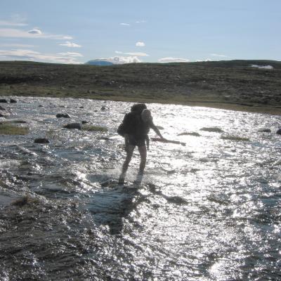 The noble art of wading in freezing cold water.jpg