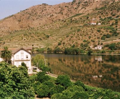 Douro valley 1.jpg