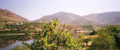 Douro valley 3.jpg