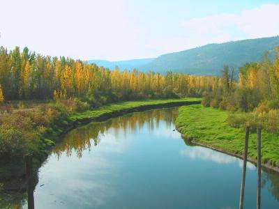 Near Bonners Ferry ID B