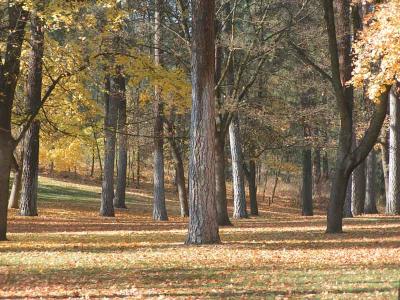 High Bridge Park 10-05