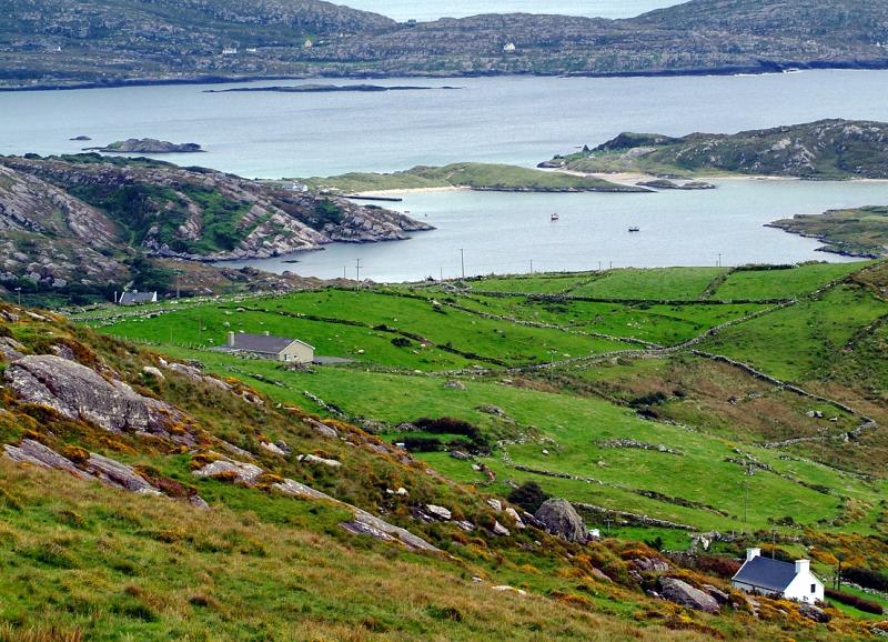 Irish Coastal Life.jpg