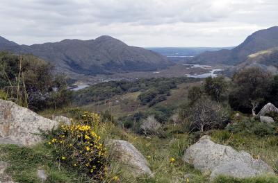 v3/21/518121/3/50402729.RingofKerry.jpg
