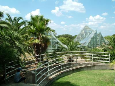 San Antonio Botannical Garden