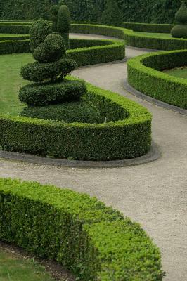 Buxus tuin Durbuy