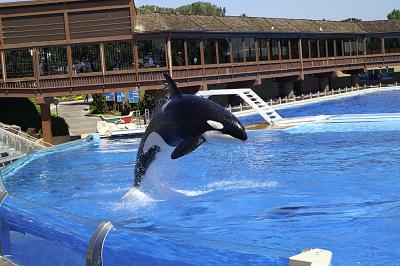 Sea World San Diego II