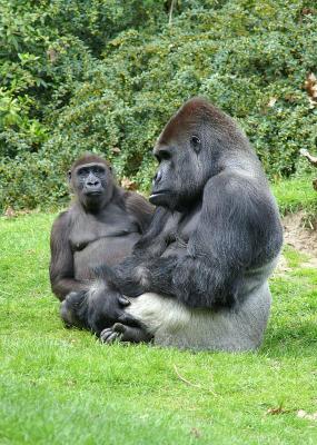 Bongo And His First Lady