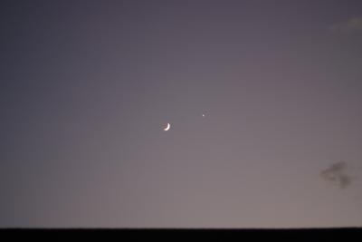 Cresent moon.jpg