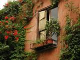 Trastevere Window