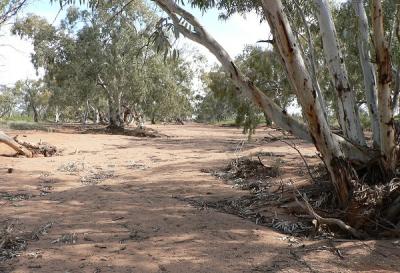 This dry creek bed held a motocross meeting in 1990.