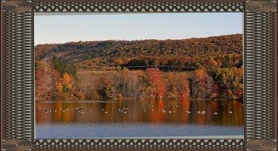 # 5 Water Dam