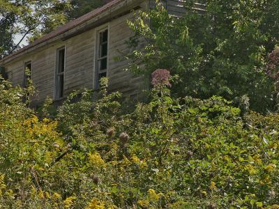 Abandoned House at Pettry