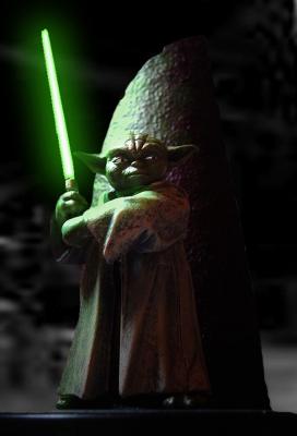 Yoda in the Dagobah System