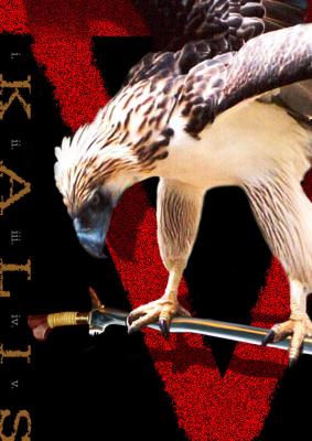 Kalis V poster by Ronin