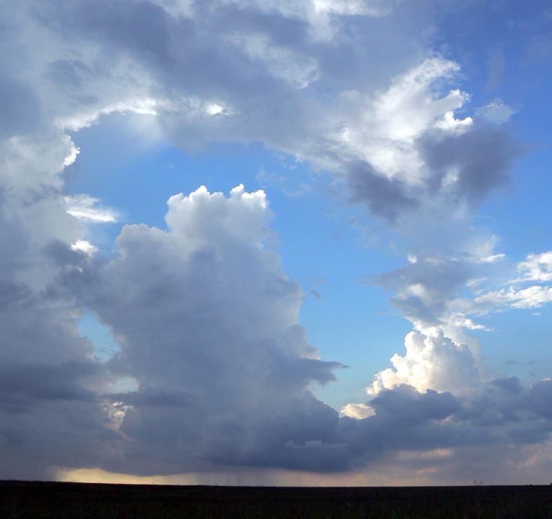 Cumulus Clouds Near Hutto, TX