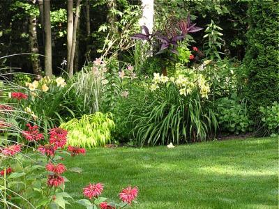 v3/22/279322/3/50404870.Backyardgarden1eweb.jpg