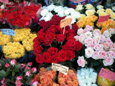 2005-09-15 16-54-50.jpg