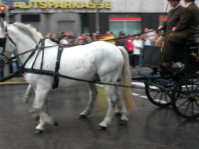 2005-09-17 11-02-56.jpg