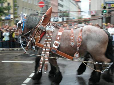 Oktoberfest - opening day parade