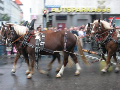 2005-09-17 11-13-20.jpg