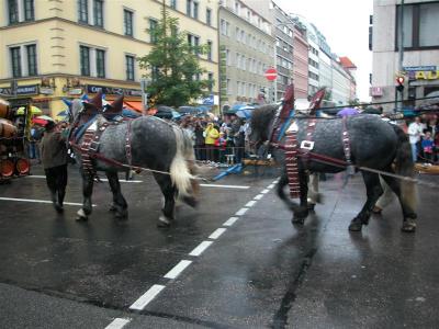 2005-09-17 11-22-36.jpg
