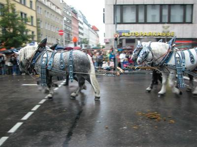 2005-09-17 11-28-04.jpg