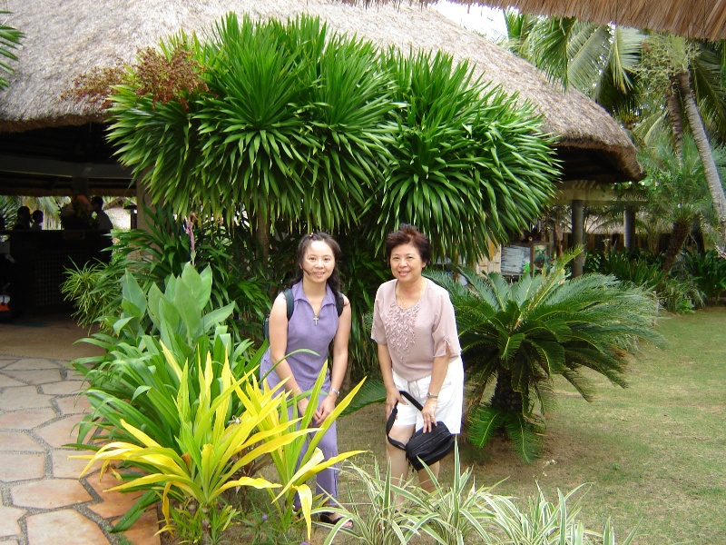 渡假聖地－「薄荷島」 Bohol Beach Club