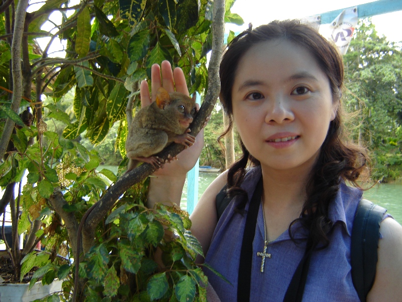 全世界最小的『迷你眼鏡猴』 TARSIUS MONKEY