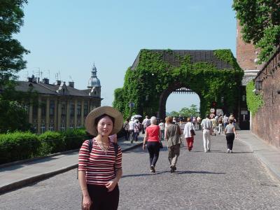 Wawel Castle Grounds 瓦維爾城堡區