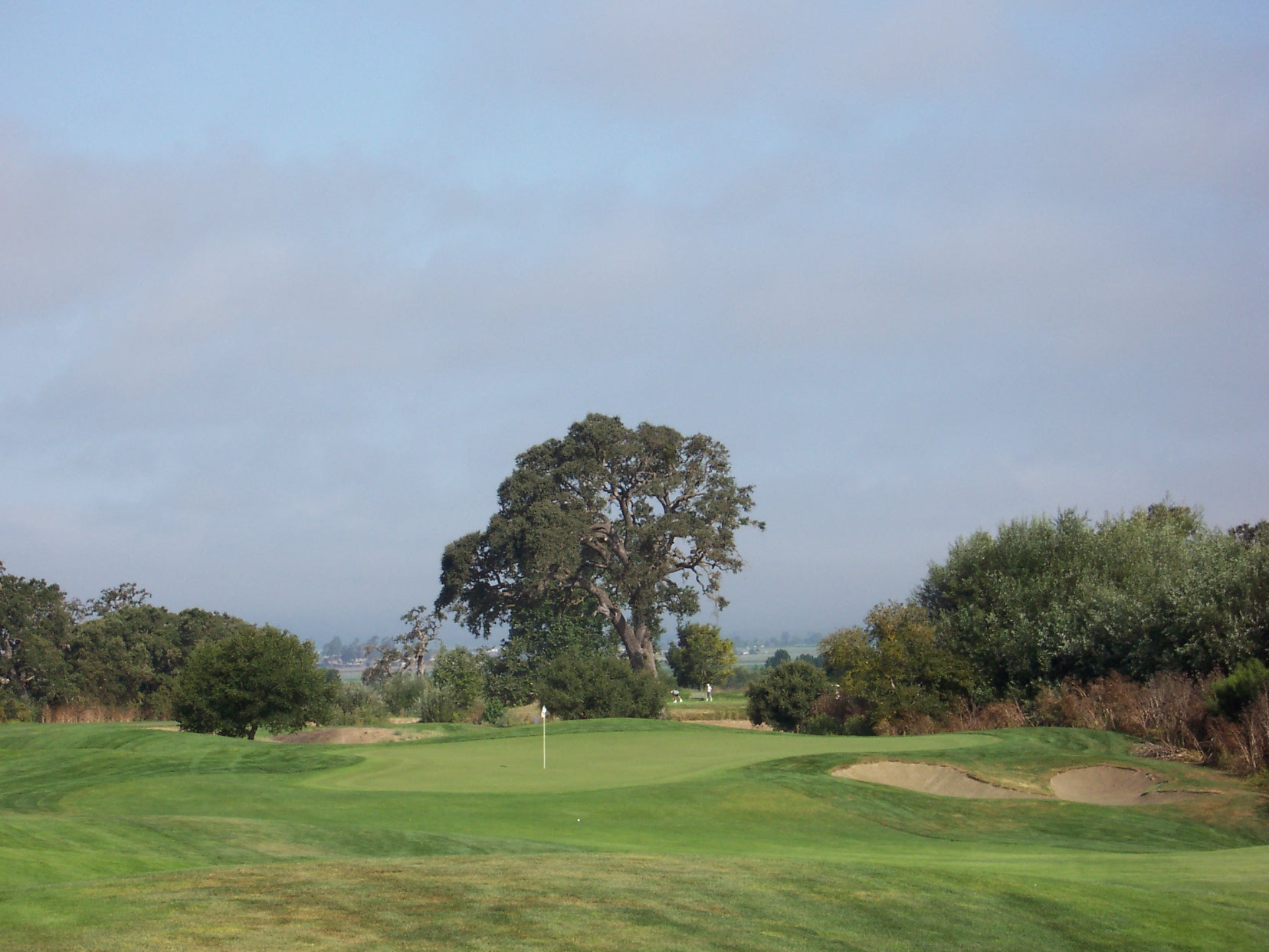 San Juan Oaks