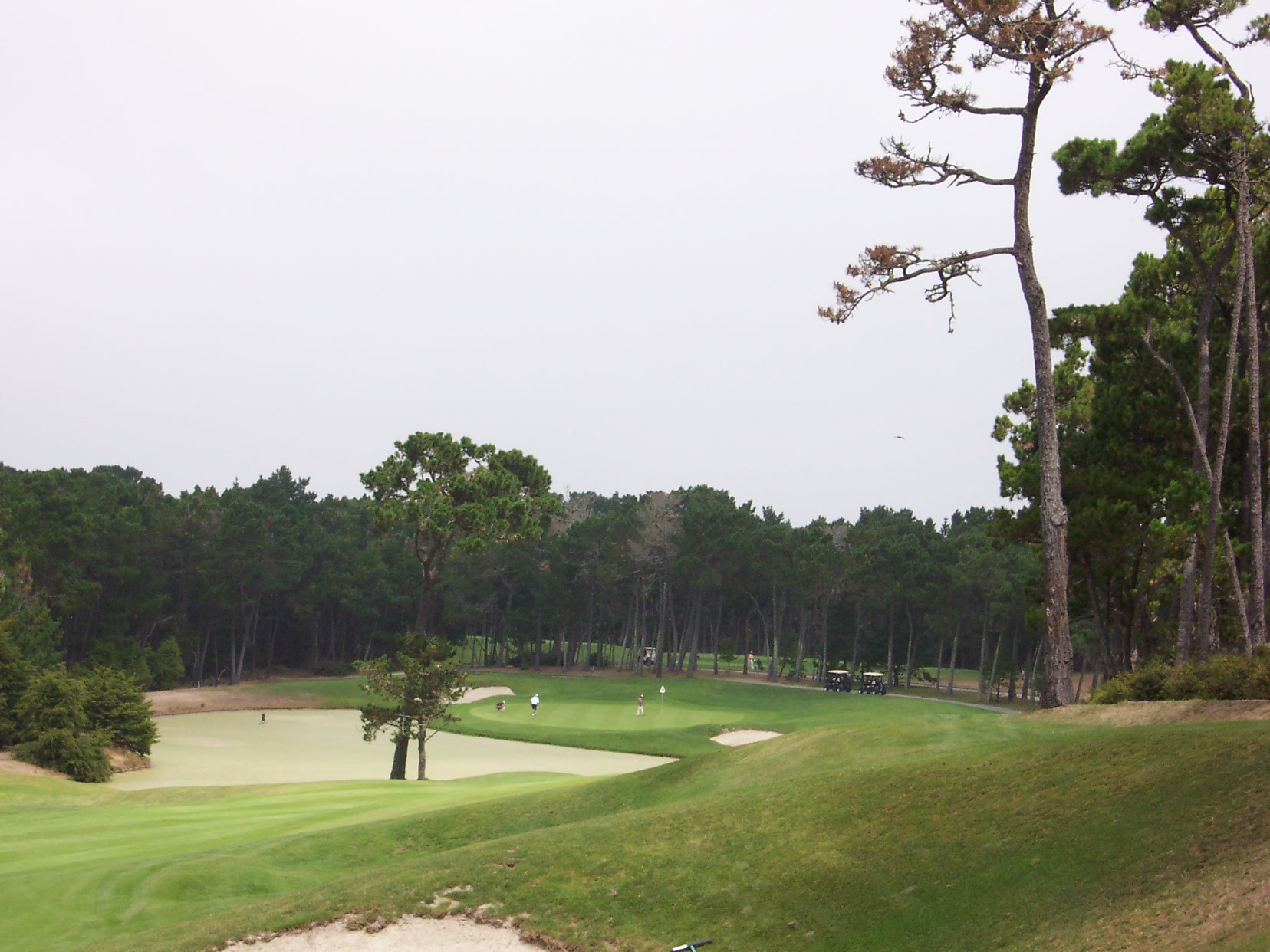 Poppy Hills
