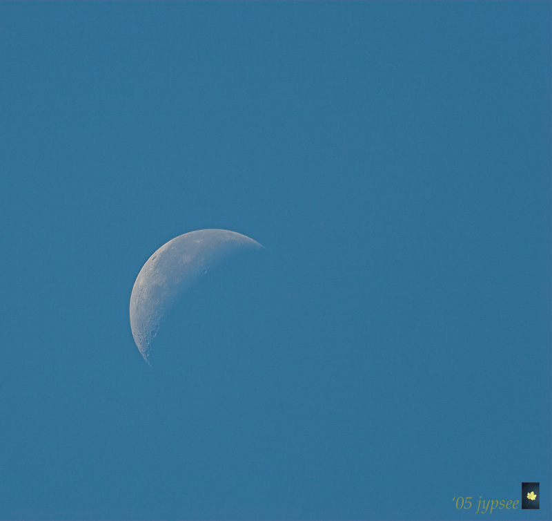 hot off the sensor; 25 minutes from raw to post
