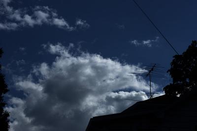 v3/22/364822/3/48424132.rooftop.jpg