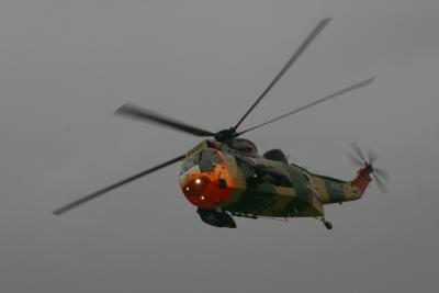 8_seaking2.jpg