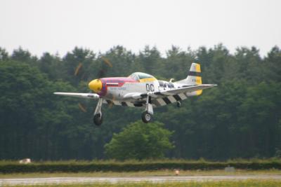 14_mustang.jpg