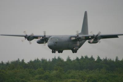 33_kiwi_C130.jpg